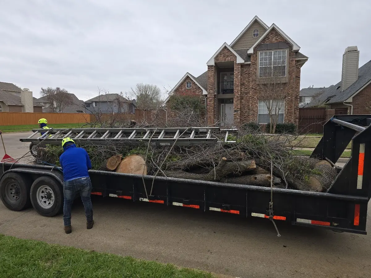 Expert Lot Clearing with proper safety equipment in Nowata